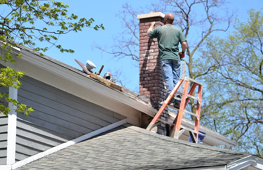 Chimney & Fireplace Inspections Services in Druid Hills, GA